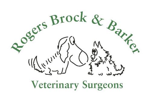 At Rogers, Brock & Barker our constant endeavour is to provide your pets with the best possible health care in a kind and understanding manner.