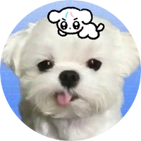 밍 이… (@mlrs_0114) 's Twitter Profile Photo