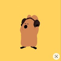 🌝 (@m_m_m_mini10) 's Twitter Profile