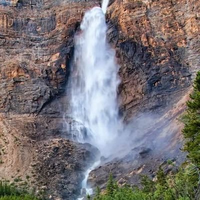 nobita_kisimayo's profile picture. 