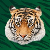 Onondaga CSD (@onondagacsd) 's Twitter Profile Photo Onondaga CSD (@onondagacsd) 's Twitter Profile Photo