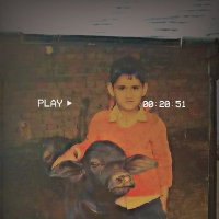 Anil Bishnoi (@ab_anil29) 's Twitter Profile