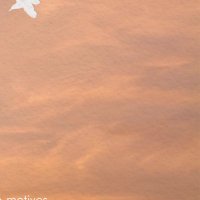 🍑 (@alt_gaidaros) 's Twitter Profile