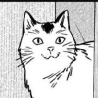 meowy (@meowybites) 's Twitter Profile