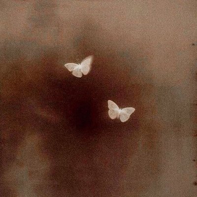 harayanismo's profile picture. inking my endless thoughts. || @kayurkibo