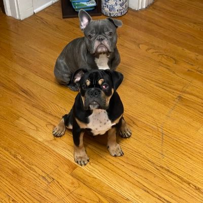 csclark9's profile picture. 