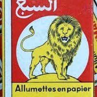 Atlas_lion (@ahmed_9assimi_1) 's Twitter Profile Photo