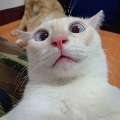 hyperos7799's profile picture. 