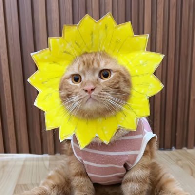 minumteratur's profile picture. 