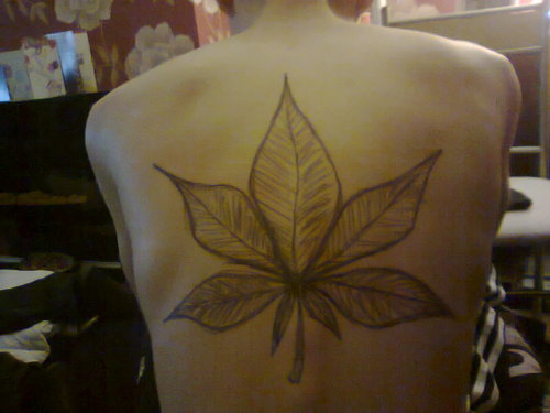 NGpunishment's profile picture. 