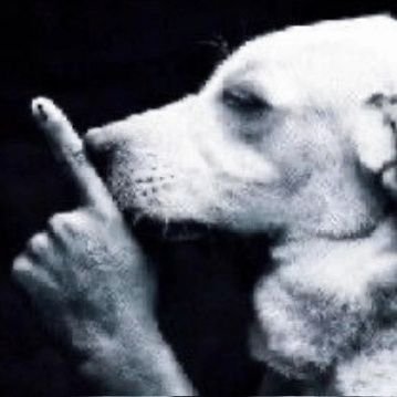 imrudefr's profile picture. 