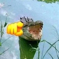 Bingus (@thetoxicdeath) 's Twitter Profile