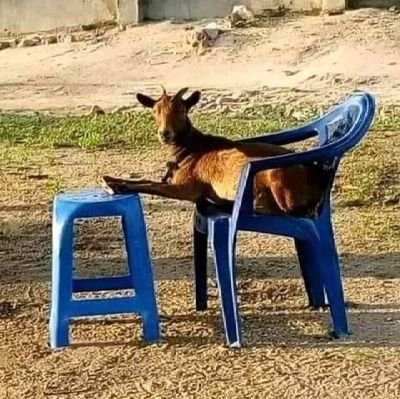 Academic guru & Researcher, a six star Medical generalist cum Specialist, a social  crusader, believer in equity and justice.  A strategist & Arsenal fan