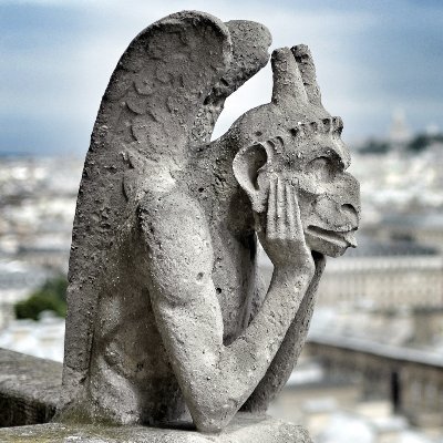 Membre du Conseil national des Républicains. Tweets personnels.