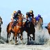 Laytown Races 2025 (@laytown_races) Twitter profile photo Laytown Races 2025 (@laytown_races) Twitter profile photo