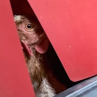 90DayCray1's profile picture. Shut up, 90 Day Fiancé is on.