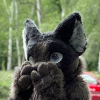 Haru (@haruthefurry) 's Twitter Profile Photo Haru (@haruthefurry) 's Twitter Profile Photo