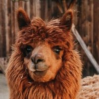 Grondler (@grondingtodust) 's Twitter Profile