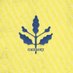fenerbahçe bize bu yolda geri dönüş yok (@fenerbahcebize) Twitter profile photo fenerbahçe bize bu yolda geri dönüş yok (@fenerbahcebize) Twitter profile photo