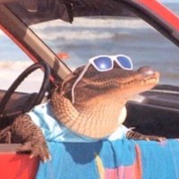 أبو أمير (@aboamyrr) Twitter profile photo