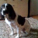 Tom Cairns - @tomcno1 - Twitter