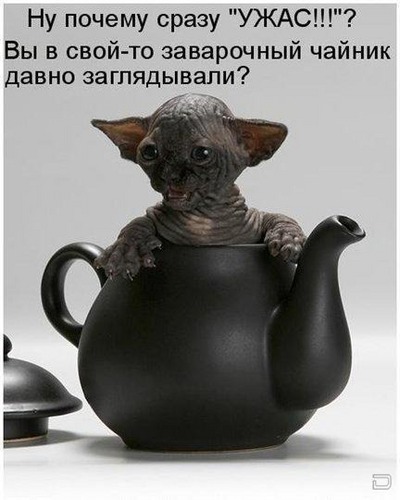 #Занимаюсь славянской гимнастикой, люблю лес, лыжи, плавать. Интересуюсь заработками в иртернете. Взаимный фолловинг.