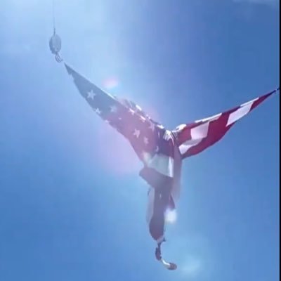 American | Patriot | Awake | Capitalist | Father | Husband | Believe in God | Common Sense | MAGA 🇺🇸 MAHA 🇺🇸 MEGA | Make the West Great Again