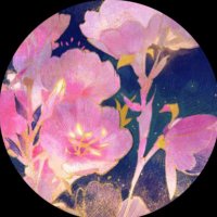 نورة الجوفان (@ririii_277) Twitter profile photo