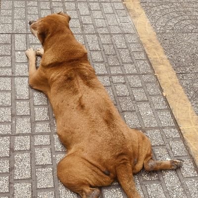 BunYip634492's profile picture. 