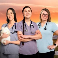 Wild Rose Vets (@wildrosevets) 's Twitter Profile