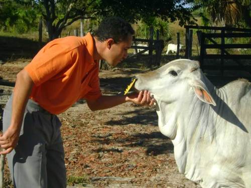 pcsilva20's profile picture. 