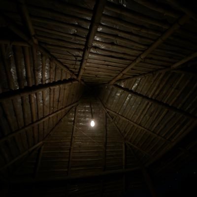 joy_upadhyay's profile picture. 