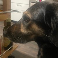 Mikołaj (@mikstachura) 's Twitter Profile