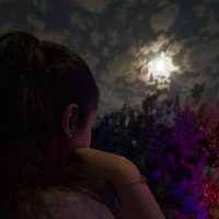 Mobi (@ezzoddin) 's Twitter Profile
