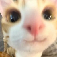 Adan Alatoma (@warpai_rl) 's Twitter Profile
