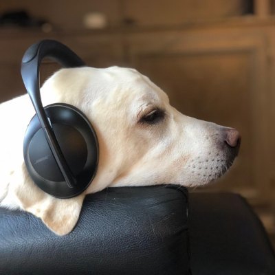 no_try_just_do's profile picture. 