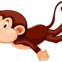 NFTMonkey 🐞 $GAME (@nftmonkey30251) 's Twitter Profile