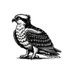 CapitalLightNewsletter (@caplightemail) Twitter profile photo CapitalLightNewsletter (@caplightemail) Twitter profile photo