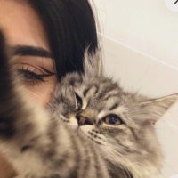 نَـوين . (@n_almuzza) 's Twitter Profile