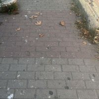 boş beleş (@bosbeles0s) Twitter profile photo