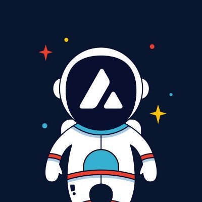 cripto__nauta's profile picture. 