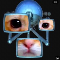 chis (@retrocheeta) 's Twitter Profile