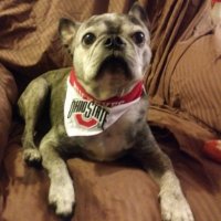 Bugzy's Daddy (@bigbuck48135) 's Twitter Profile