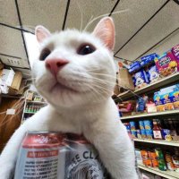 jah ✱ (@jahad) 's Twitter Profile Photo