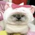 suki (@sqkures) Twitter profile photo suki (@sqkures) Twitter profile photo