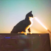 alpha.isnow.ai (@isnow_ai) 's Twitter Profile Photo alpha.isnow.ai (@isnow_ai) 's Twitter Profile Photo