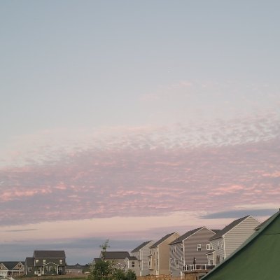 PopKernals's profile picture. 