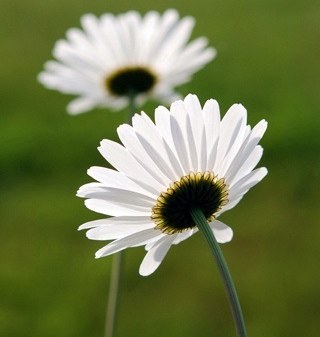 fger3's profile picture. 