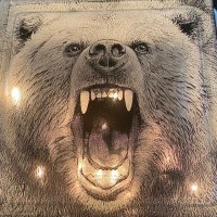 brite_bear (@jim58836024888) 's Twitter Profile