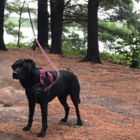 Erica Morrill (@ericaannem) 's Twitter Profile